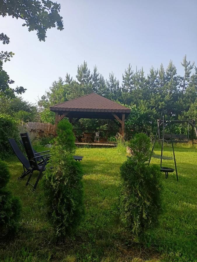 Sosnowa Polana Białowieża Εξωτερικό φωτογραφία
